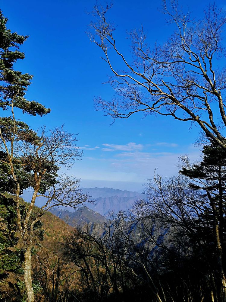 20201101惊悚之行~首阳山大坪梁单日横穿+原返