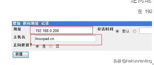 企业内网不搭建dns服务可以吗,局域网dns服务器架设