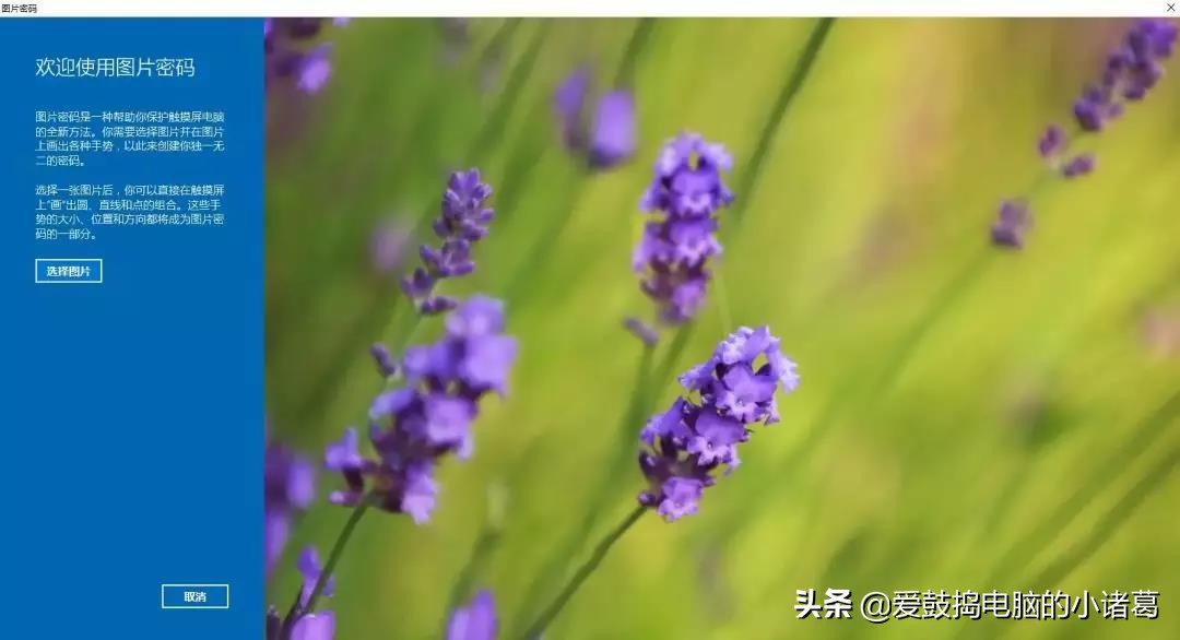 太多人都不知道Win10可以用图片作为开机密码？快进来学习下！