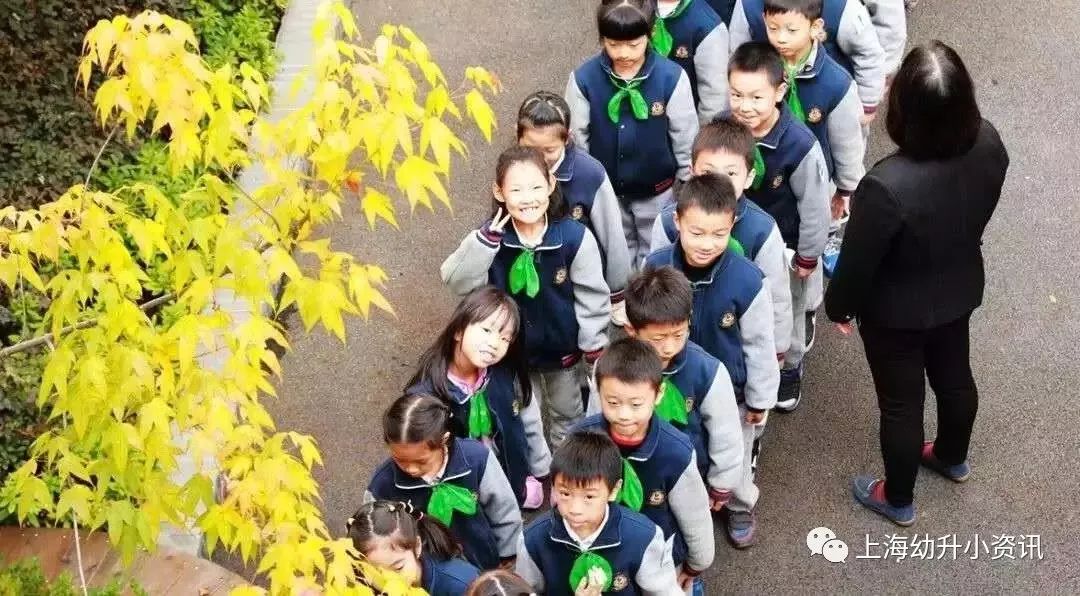 上海浦东小学梯队排名和对口学区,2020年浦东新区小学对口地段表