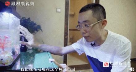 情侣出门旅行被偷拍,小情侣旅游遭偷拍