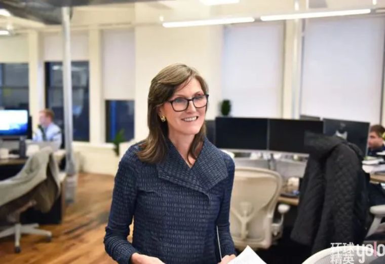 凯瑟琳巴菲特视频,女版巴菲特投资项目