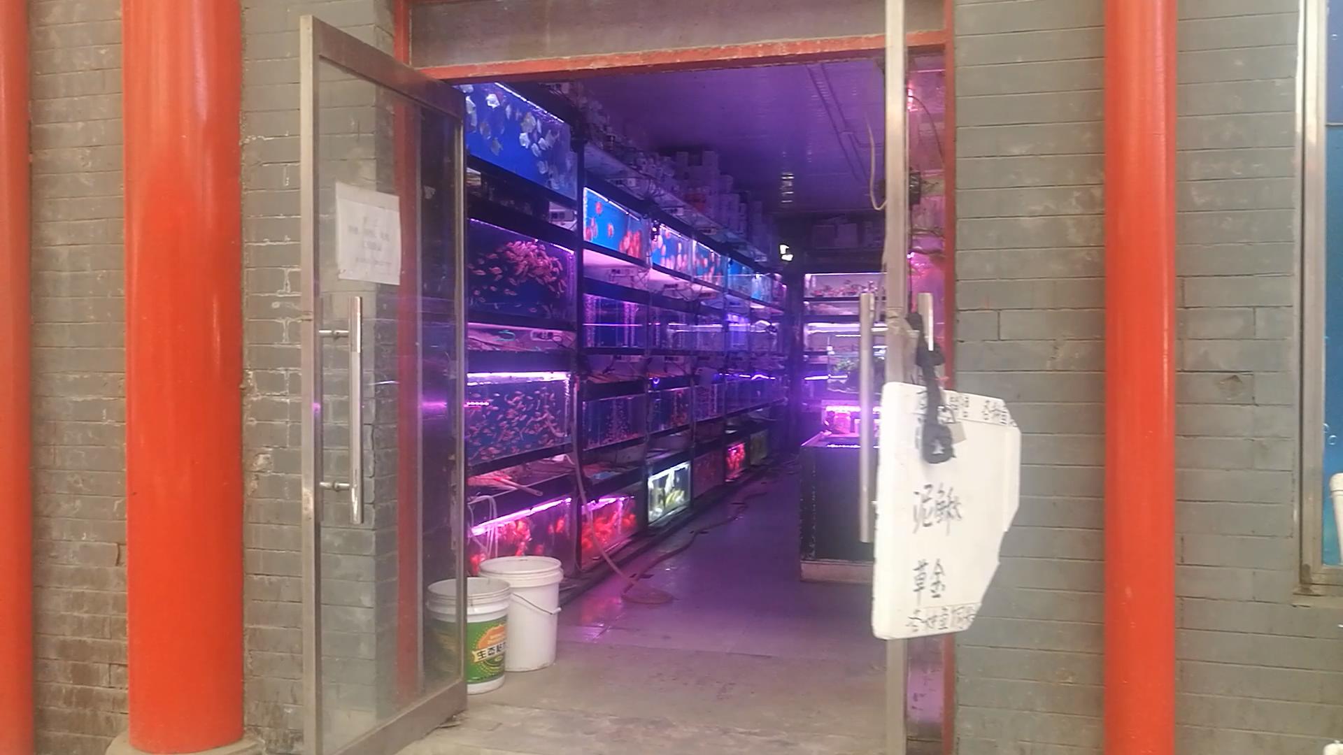 北京十里河鱼市,都说它拆了,我却看到了综合性的水族市场