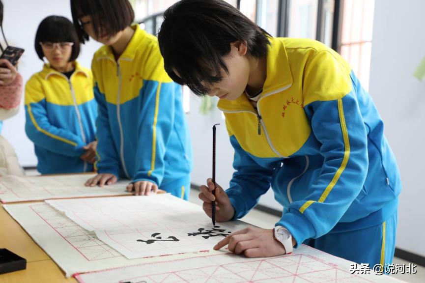 衡水二中清河志臻中学邢台一中,衡水志臻清河校区与衡水二中