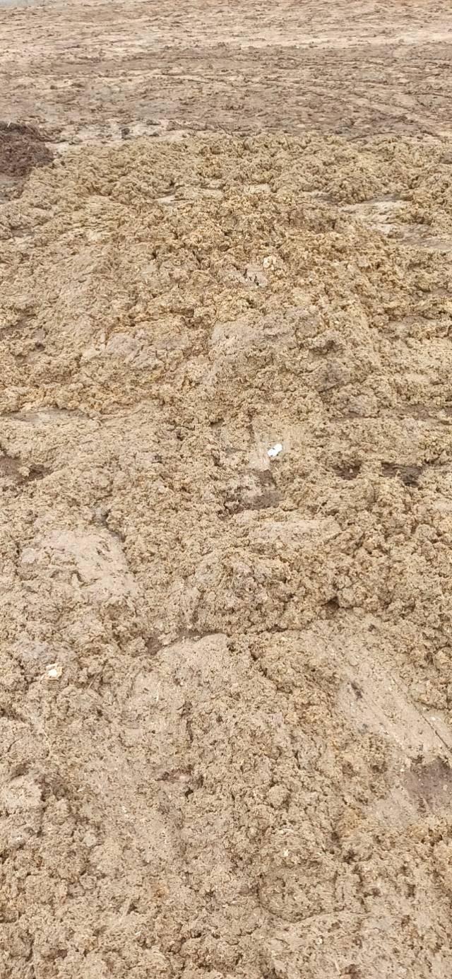 鸡病预防工作,鸡病防控措施有哪些