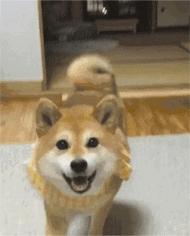 免费app是怎么盈利的,免费视频网站靠什么盈利