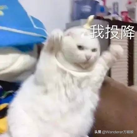 哈哈哈哈哈哈我笑到我妈把鞋塞我嘴里