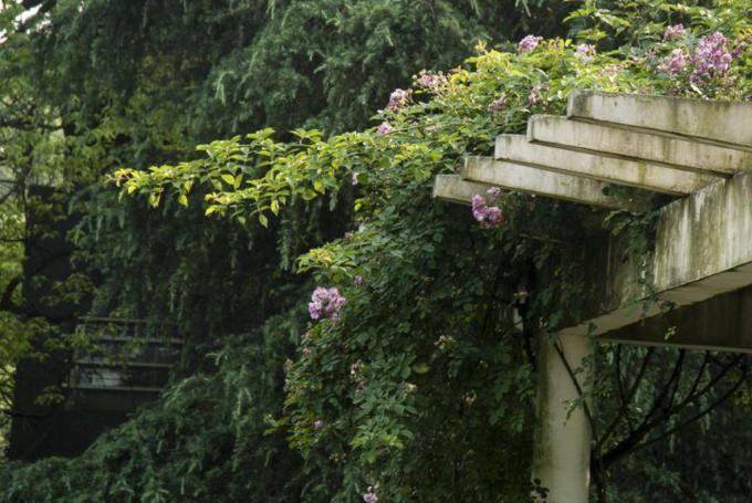 重庆旅游团报名价目表三日游,重庆周边三日自驾游最佳路线