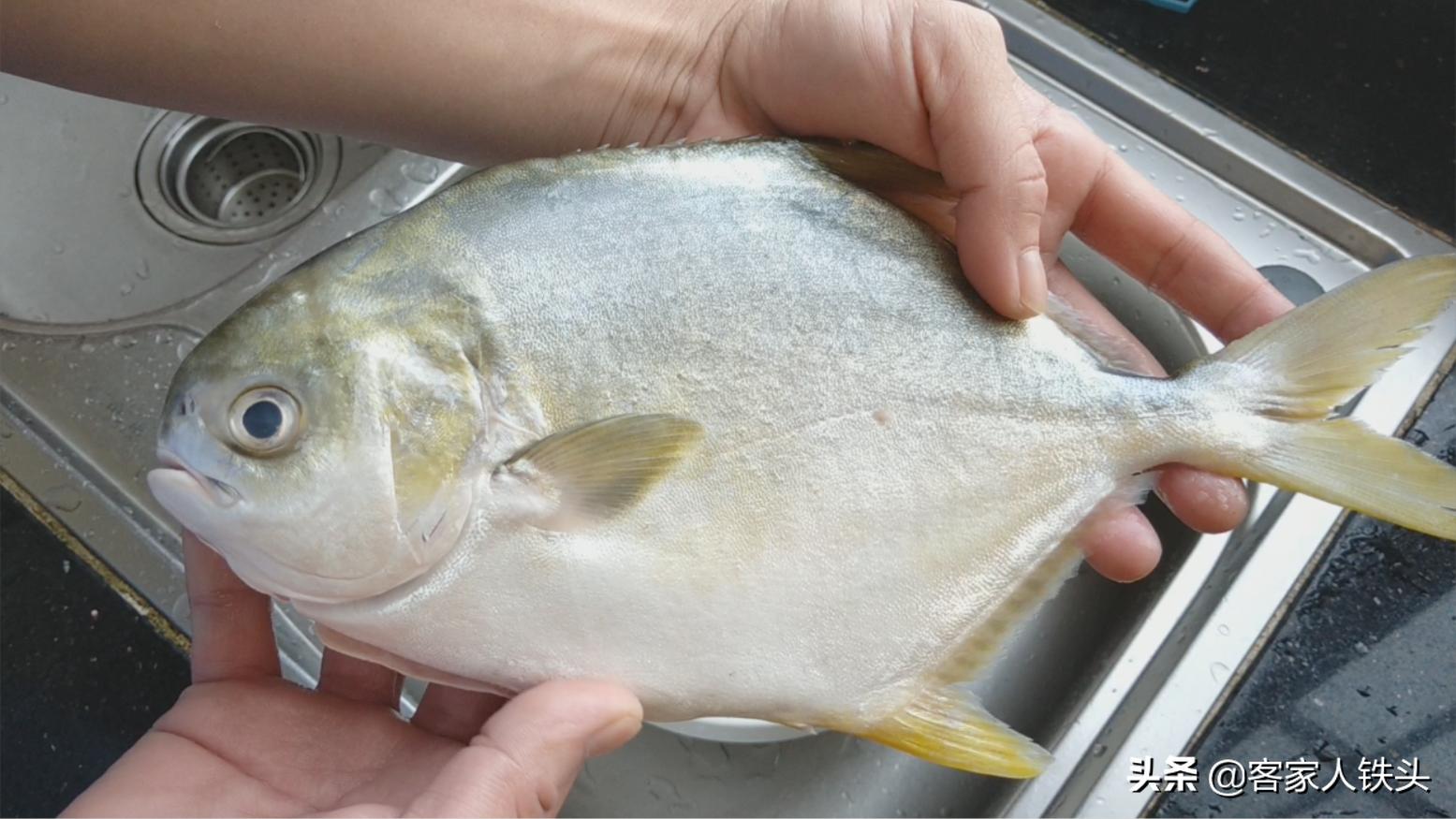 金鲳鱼家常做法不腥,金鲳鱼怎么吃好吃又简单