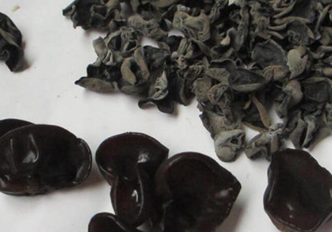 黑木耳露地栽培菌袋培养图片,黑木耳菌袋制作