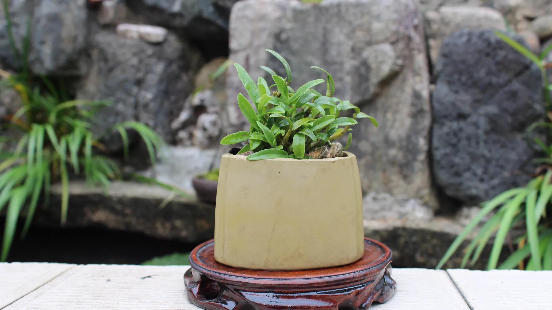 农村创业周边设备,农村创业周记17字