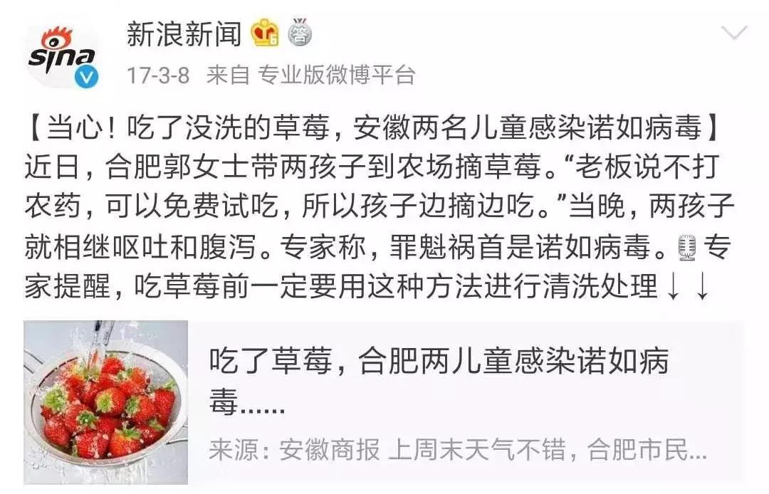 孩子拉痢疾如何食疗,小孩拉痢疾吃什么