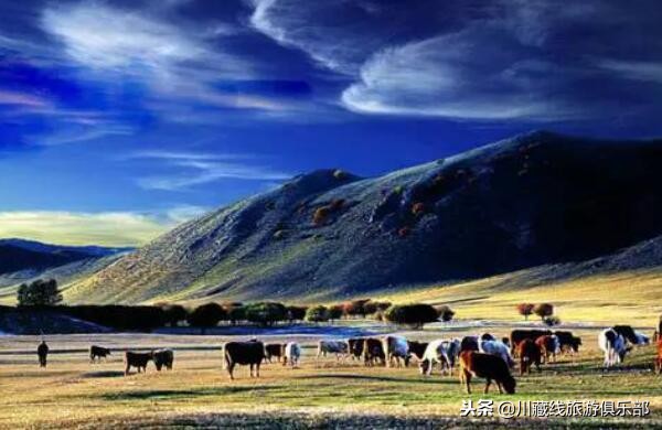 成都租车自驾318川藏线,4人成都租车自驾318川藏线多少钱