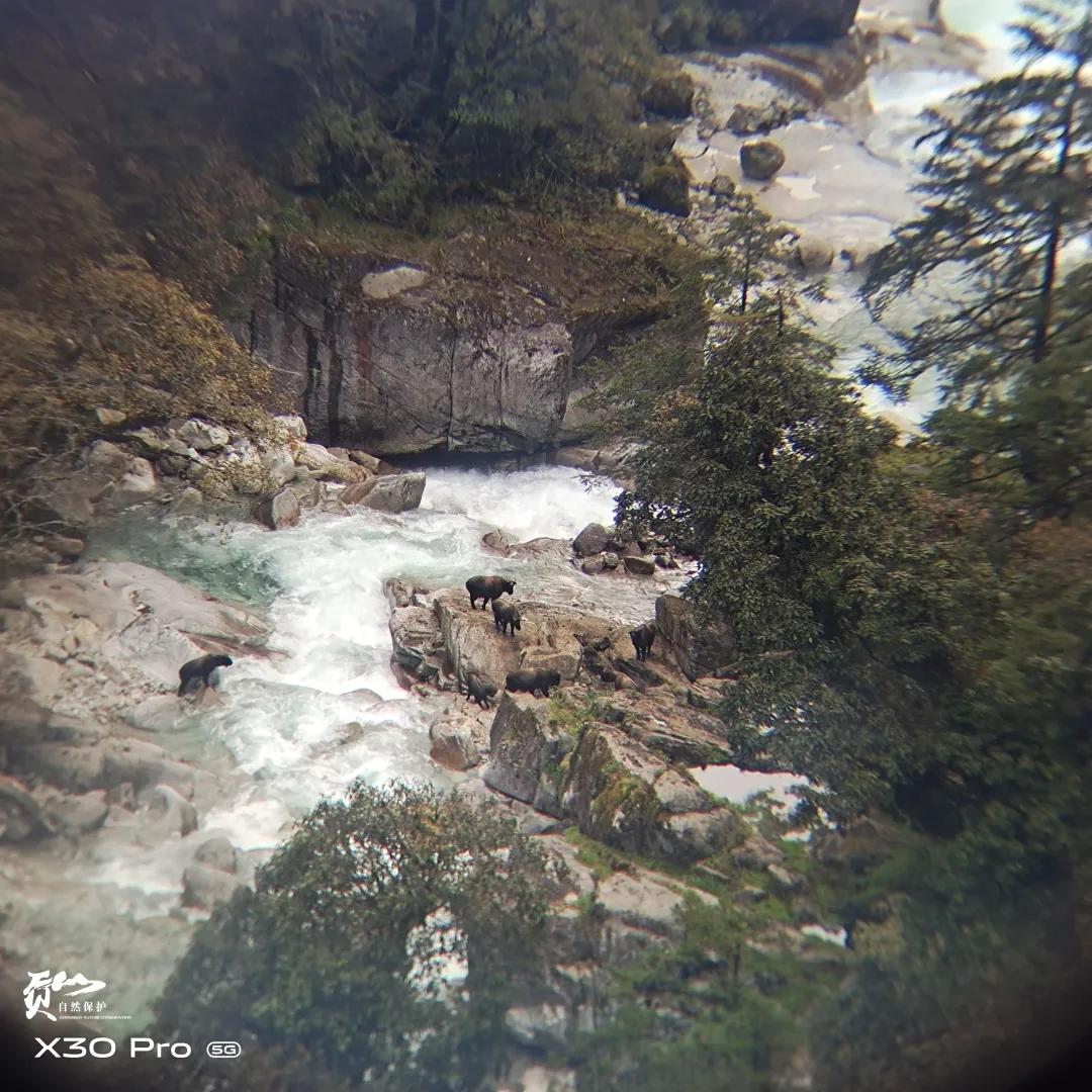 遇见怒江丨这是“我”手机镜头里的贡山风光