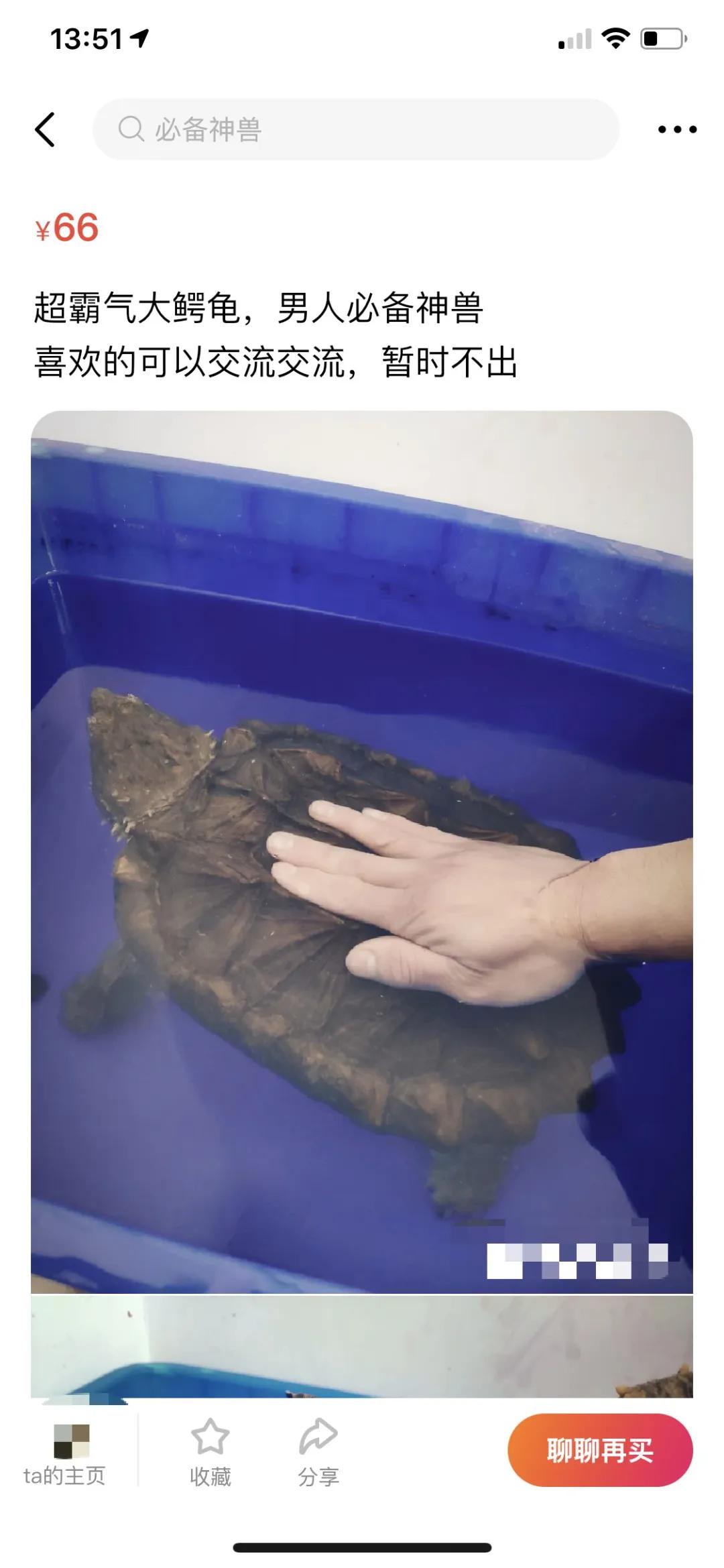 无聊到极致了,无聊到极致是什么样的体验