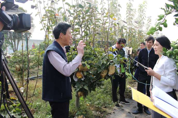 产业扶贫，金果致富——湖北天圆生态发展有限公司