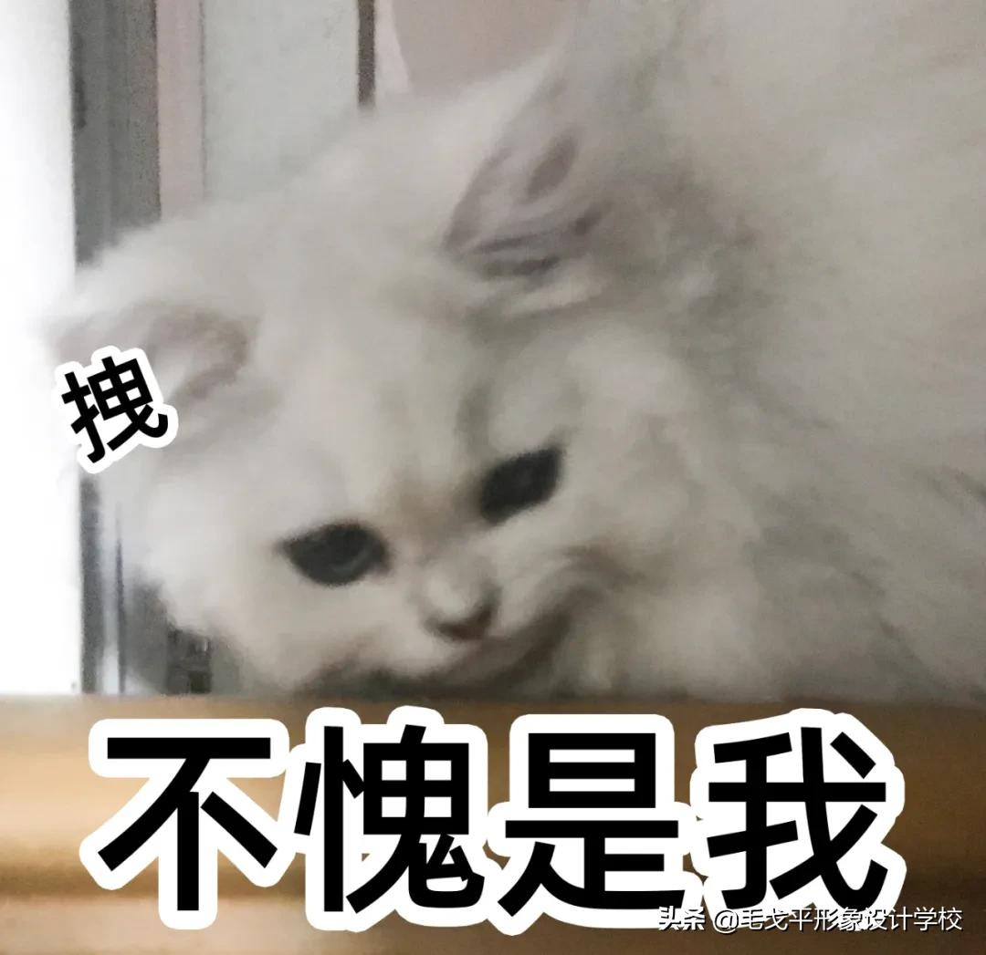 懒人化妆教程初学者遮黑眼圈,黑眼圈化妆怎么遮