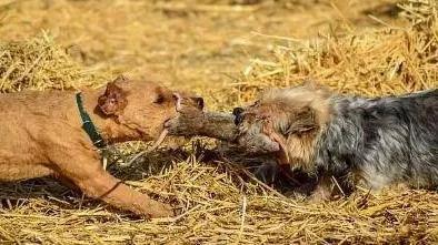 听老人讲过挨饿的故事,听老人讲挨饿的经历