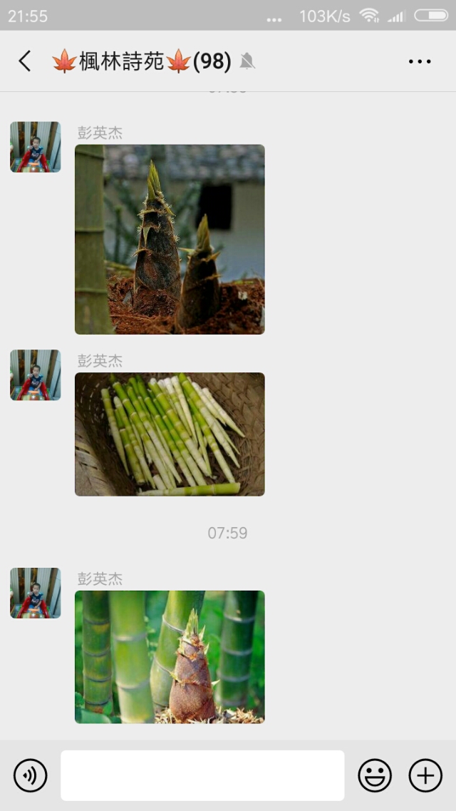 枫林诗苑诗词集:春笋20190402