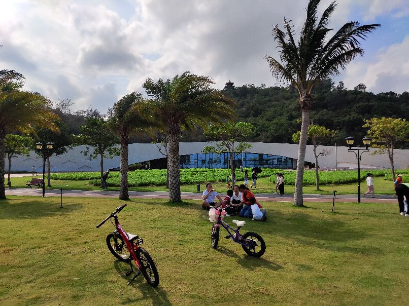 珠海野狸岛到港珠澳,珠海野狸岛的山可以爬吗