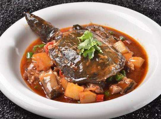 杨参将家制甲鱼头尾俱全，见者悚然，犹虑其动