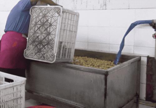 金丝蜜枣是怎么做成的,金丝蜜枣是怎么制成的