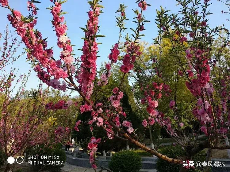 李剑诗,利剑古诗词