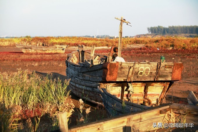 营口团山海洋公园是北海公园吗,营口团山海洋公园和金帛滩哪个好