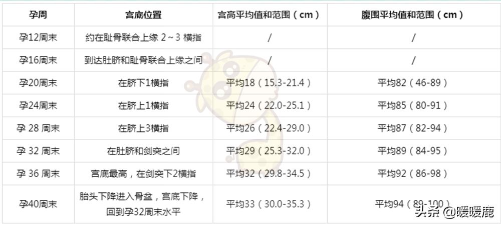 产检为什么要量宫高腹围,产检检查腹围是为什么