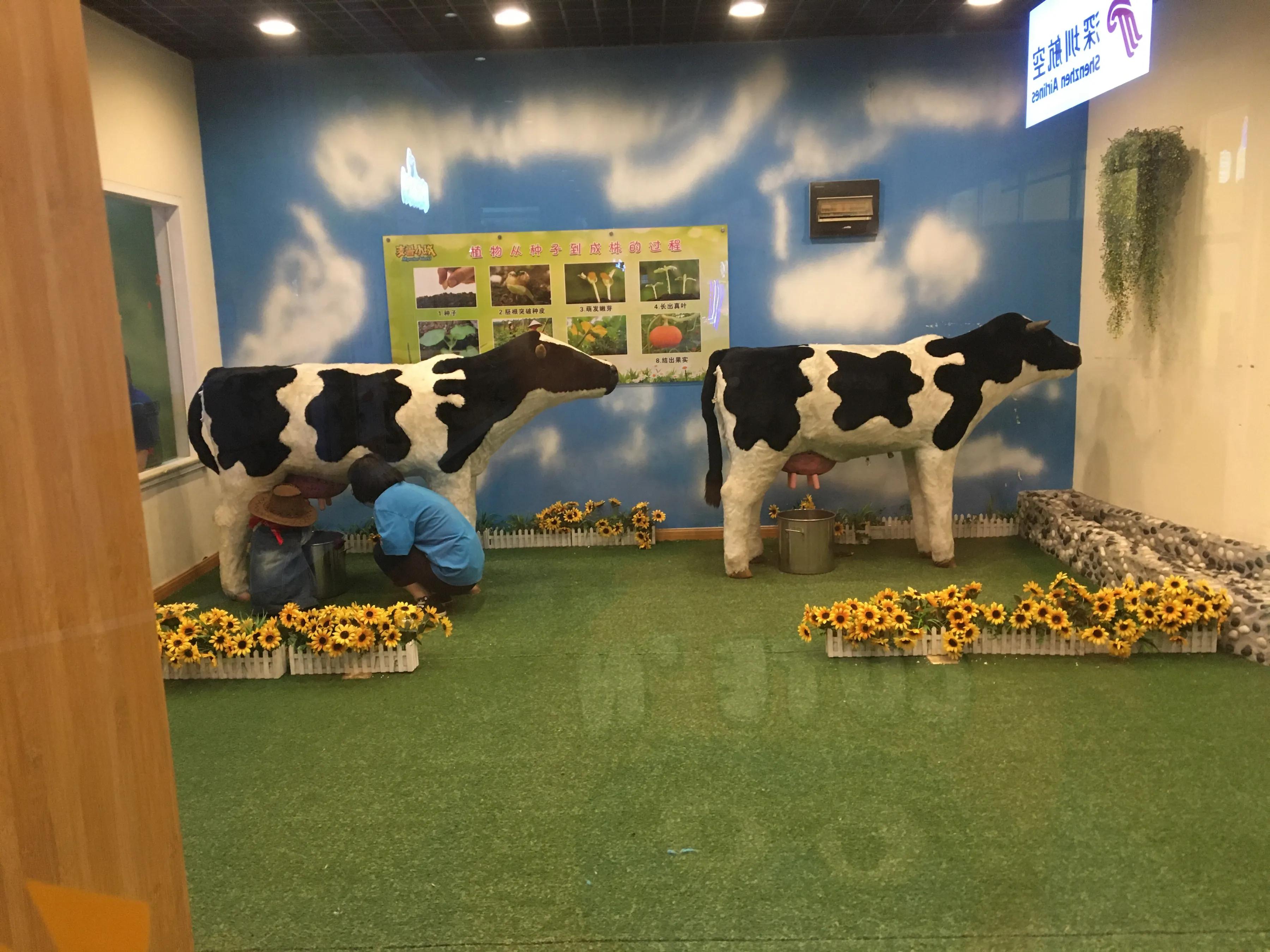 苏州还有什么好玩的,苏州过年好玩的地方