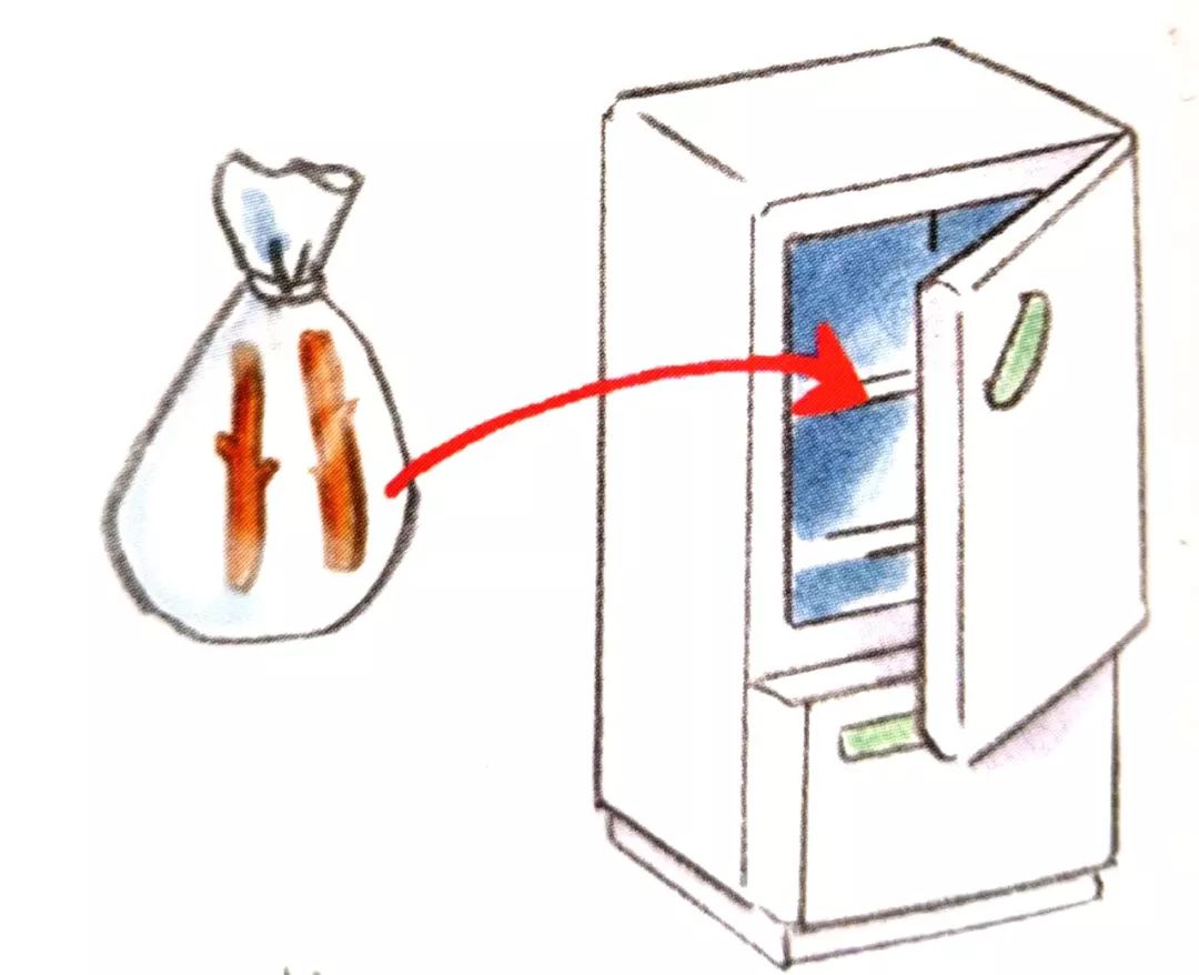 别把“嫁接”想得太苦太难，掌握6个窍门，它可是很好玩的活儿
