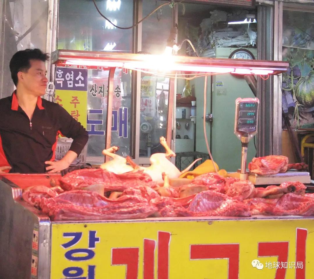 正宗朝鲜烀狗肉的方法,朝鲜风味狗肉