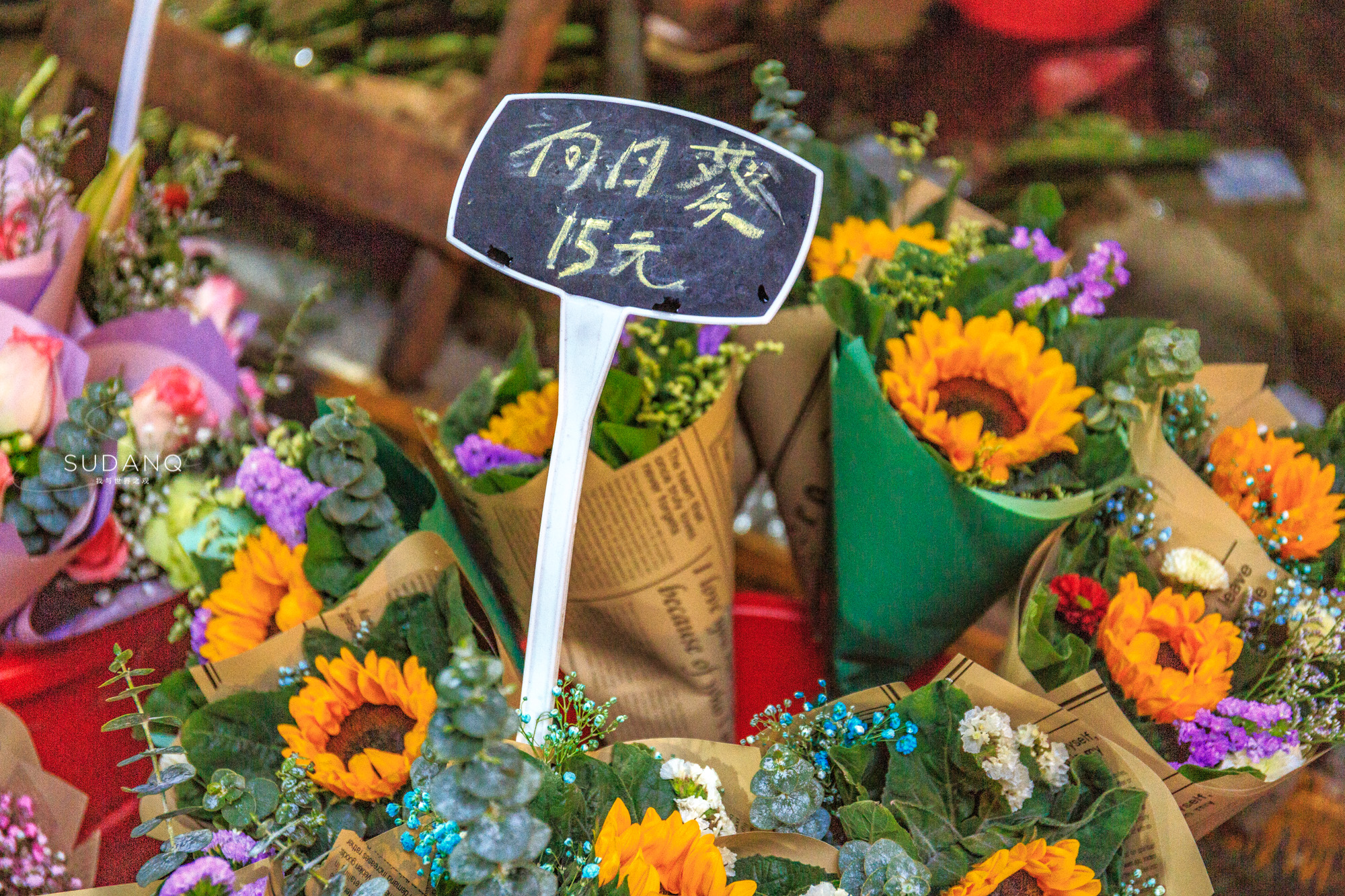 武汉铁机路花市,武汉解放公园花市