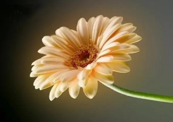 别人瞧不起你发朋友圈怎么说,瞧不起人的句子发朋友圈