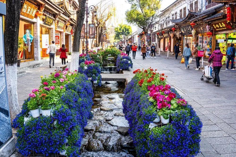 瞧!这花花世界谁不爱