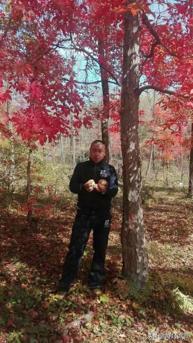 全国一村一品示范村镇第九批,全国一村一品示范村镇名单公布