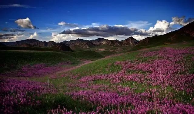 这条最“咸”最彩的公路,治好了我*藏西**的病,解掉了我*疆新**的毒