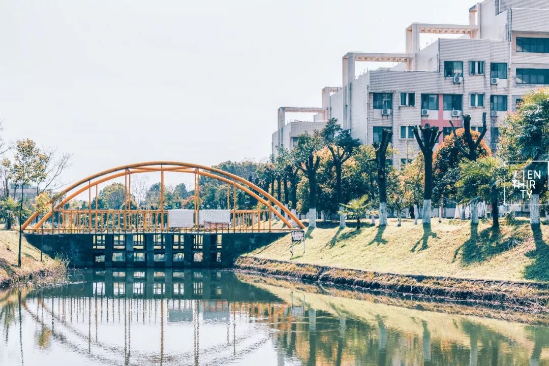 湖北经济学院为什么叫藏龙岛,湖北经济学院在江夏藏龙岛吗