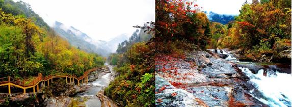 陕西5天红叶之旅,陕川交界的景区