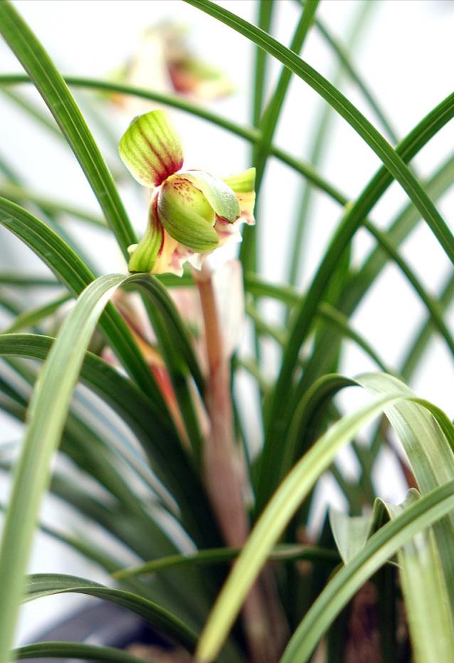 陈占超‖我和二爷的往事