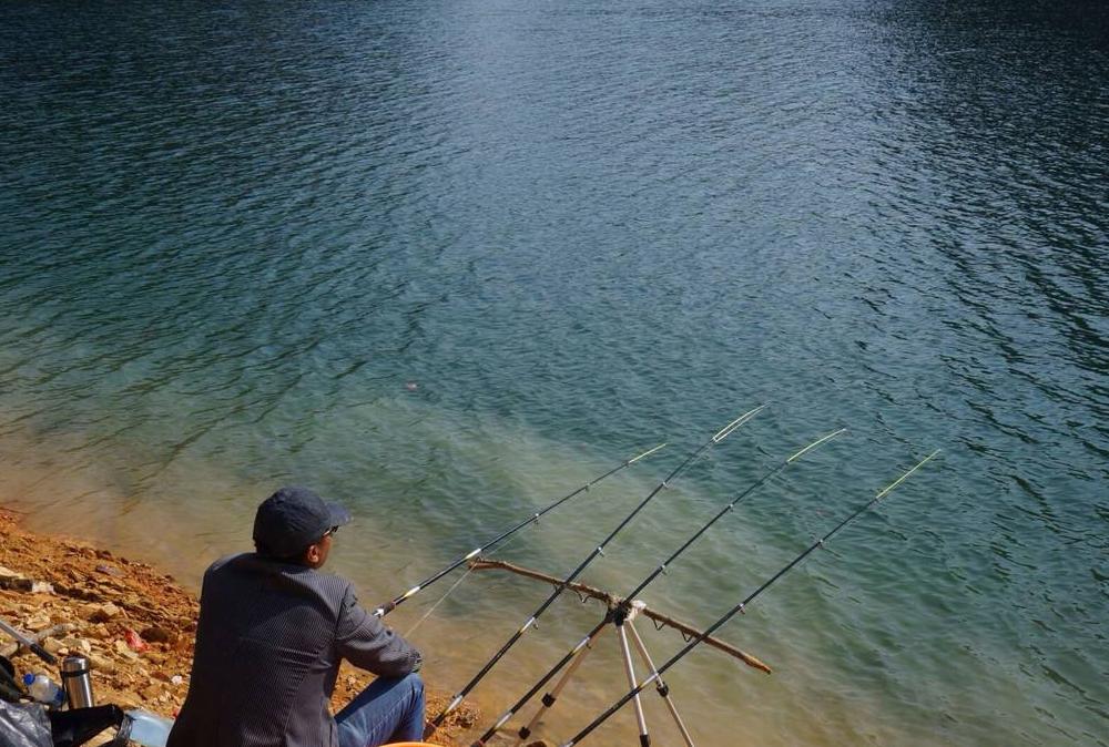 钓鱼技巧入门该如何选择钓鱼装备,新手钓鱼必备装备技巧