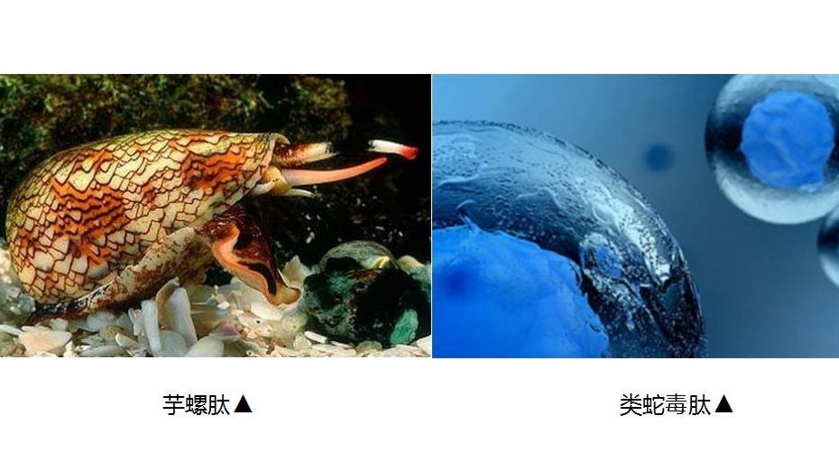 季泉黑松露胶原多肽抗皱系列功效,季泉黑松露胶原多肽紧致嫩肤喷雾