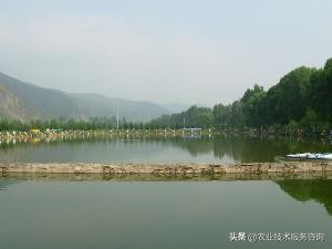 鱼塘防漏处理的最好方法,鱼塘专用防漏布