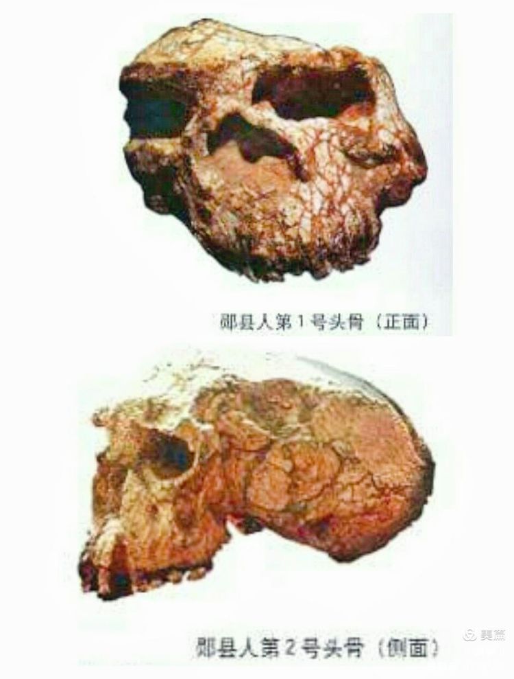 *镇黄**山：汉水考古惊天下