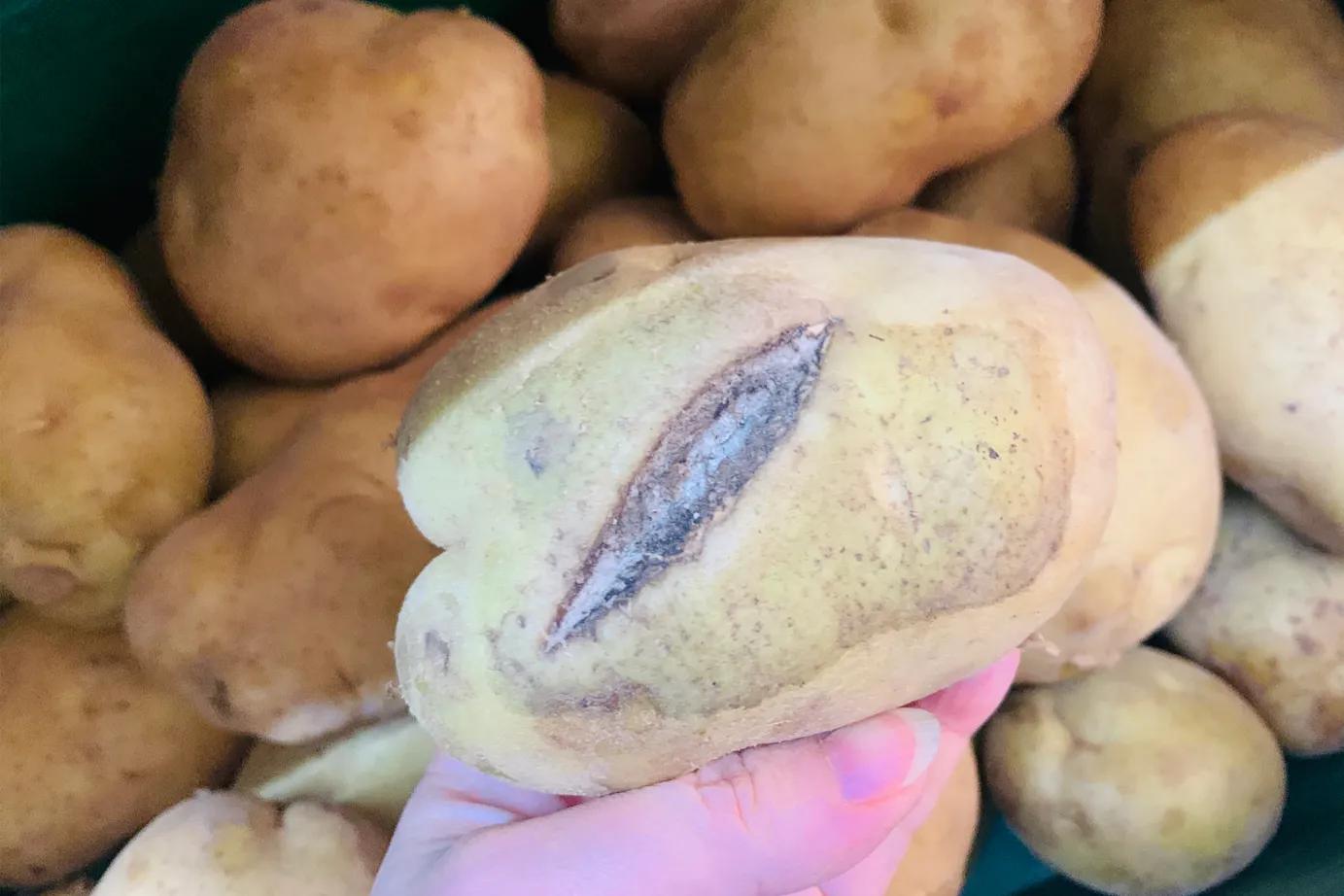 夏天土豆怎么保存不发芽不变绿,土豆削皮后真空包装可以保存多久