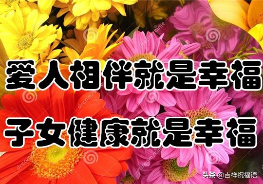 几句话送给未来的自己,几句话送给年轻的你们