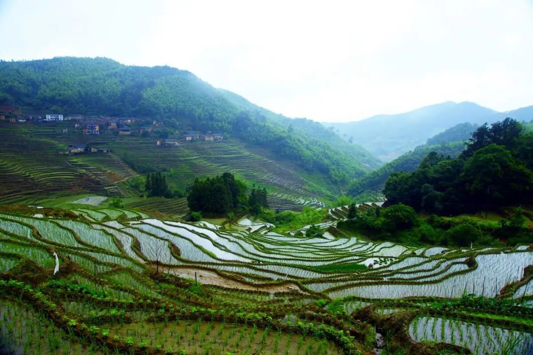 村级集体经济的发展模式有哪些,村级集体经济发展新模式