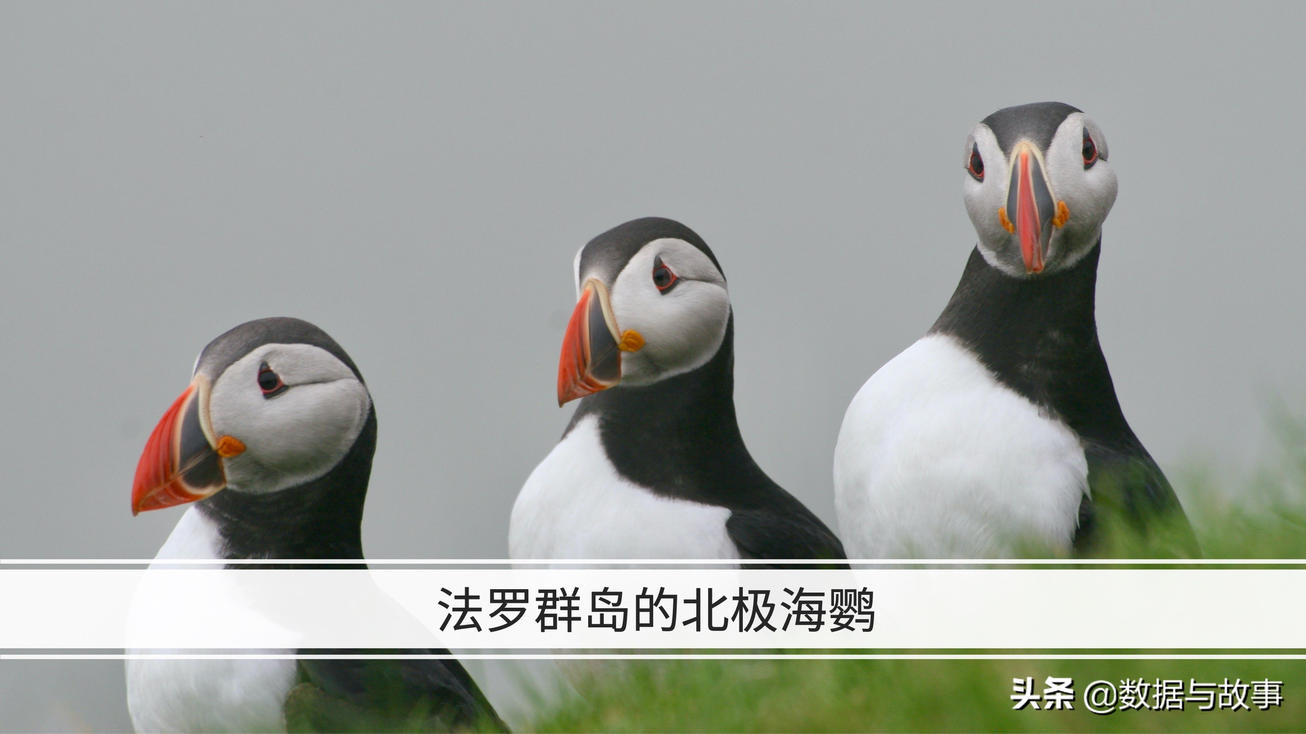 2021足球欧洲杯举办地点在哪里,世界杯地理欧洲