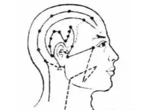 送给中老年朋友的拍打穴位操,人体穴位拍打操30分钟健身操视频