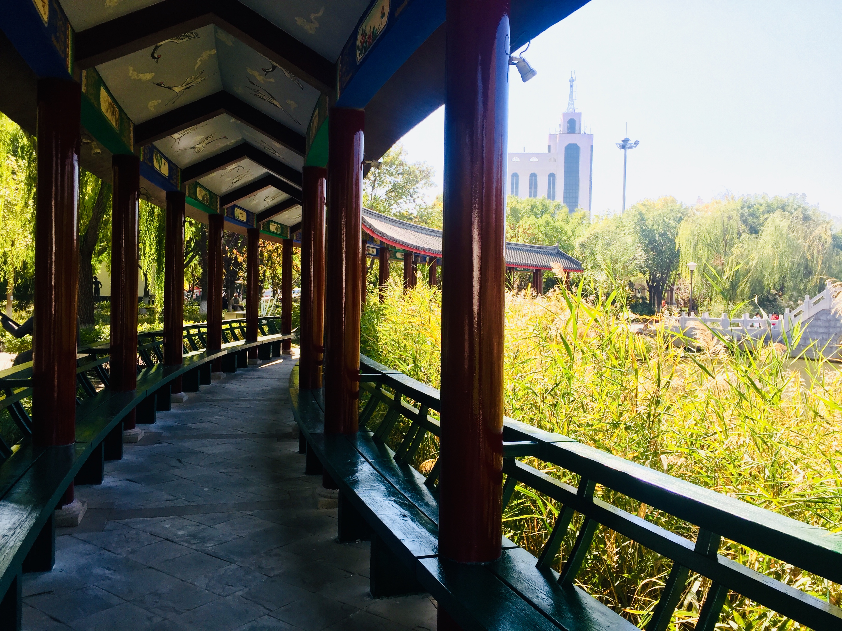 天津森林公园儿童乐园项目介绍,滨海新区适合带孩子玩的公园